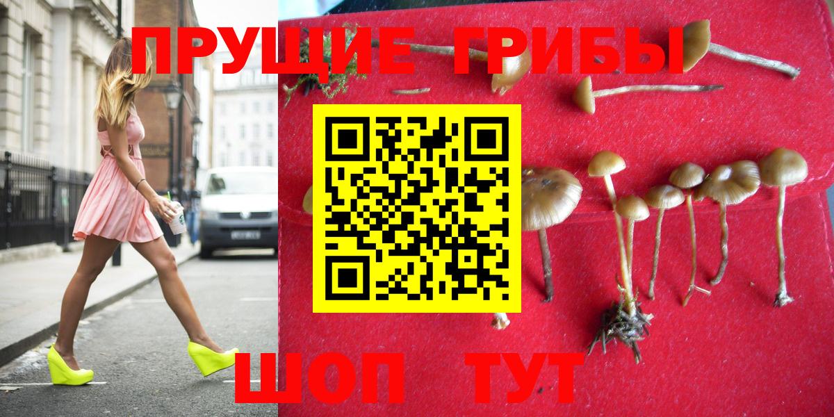 Галлюциногенные грибы Cubensis Нерюнгри