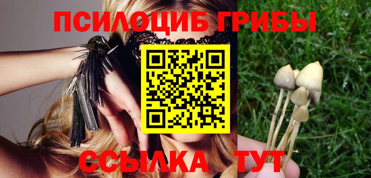 Нерюнгри  Псилоцибиновые грибы мицелий  Вход с VPN 